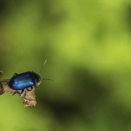 Rifugio 2000 Hostel *