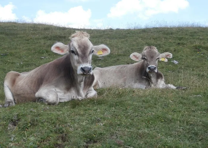 Rifugio 2000 Hostel Sappada